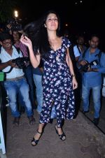 at Finding Fanny Movie Completion Bash in Olive, Mumbai on 27th Nov 2013